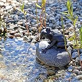 CLGarden Wasserspeier Frosch auf einem Stein NSP10E im Komplettset mit strombetriebener Pumpe Springbrunnen Wasserspiel für den Gartenteich
