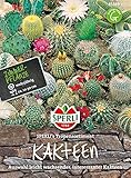 85589 Sperli Premium Kakteen Samen Mix | Sukkulenten Samen...