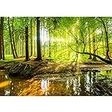 Runa Art Fototapete Wald Bach 352 x 250 cm Vlies Tapeten XXL...