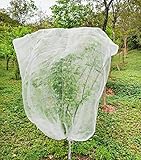 LINCOCLE 1.8m X 1.8m Pflanzenschutznetz Insekten, Garten Insektenschutznetz, Netz für Obstbäume, mit Reißverschluss und Zugband, Atmungsaktiv, Reißfest