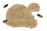aktiongruen Lehmpulver zum Schließen & Einkleben von Niströhren /zum Basteln & Bauen /Baumaterial für Wildbienen (1000), Braun