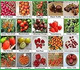 Tomaten Set 2 : TOP Qualität Saatgut aus Deutschland, 20 Sorten, Ohne Gentechnik, 100% samenfest, Tomate Fleischtomate Cherrytomate, Sammlung von Raritäten