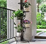 WAYWOC Blumenregal aus Eisen im europäischen Stil, mehrstufige Bodenregale für Bonsai und Blumentöpfe, Innengartendekoration