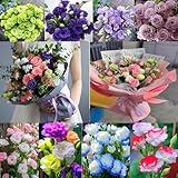 Eustoma Samen Winterhart Lisianthus 1000PCS: Gemischte Dornenlose Rose Samen Farbenfrohe Blüten für Garten, Balkon & Vase, ganzjährige Aussaat