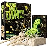 Dr. Daz Nachtleuchtender Dinosaurier Skelett Ausgrabungsset für Kinder Dino Knochen Ausgrabung Spielzeug Archäologie Paläontologie Geschenk