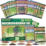 ZenGreens® - Bio Sprossensamen im 10er Set - Keimsprossensamen - für leichte Zucht im Sprossenglas oder Anzuchtschale - Probierpaket - 10 verschiedene Sorten - Microgreens Samen Mix