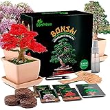 BonPrime Bonsai Starter Kit - Einsteigerfreundliches Set mit 4 Baumsorten - 4 Pflanzen-Töpfe aus Bambus, 4 Torfpellets, 4 Pflanzenmarker, Schere & Wasser-Sprühflasche, gedruckte & Online-Anleitung