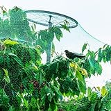 PanHuiWen Vogelschutznetz 1engmaschig Katzennetz Fenster Ohne Bohren Fischernetz Deko Groß 1.5 x1.5cm große für Garten, Balkon oder Teich, Volierennetz,10x15m