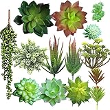 Aisamco 14 PCS künstliche Sukkulenten, sortierte Faux saftige Auswahl, gefälschte Sukkulenten Bouquet Perlenkette Liebhaber Tears Plant Coastal Cottage Anordnung gemischt Echeveria Sukkulenten