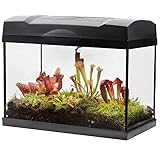 Swampworld Terrarium XL - 5 Fleischfressende Pflanzen im Glas Terrarium mit Licht - Inklusive Venusfliegenfalle, Sonnetau, Schlaufpflanzen, Moos, Erde, Wasserstandsanzeiger und Buch - 39x21x31cm