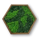 Bicolor Moos Wandbild Hexagon für Haus und Büro, Moosbild