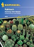 Kakteen-Mischung