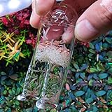 HIERYAN Aquarium-Schneckenfalle mit Acrylmaterial, Wurmfalle mit Garnelenfleisch