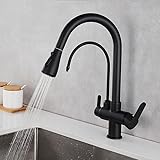 ZJXANMZ 3-in-1 Küchenarmatur mit abnehmbarem Sprüher, 360° schwenkbare Mischbatterie aus Messing, gefiltertes Trinkwasser, schwarzer Spültischhahn für Küchenspüle