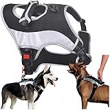 Wobell Hundeträger Druckfrei mit Griff, Reflektierende Elemente, Größe M, 53-67cm, Schwarz