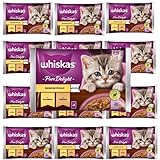 Whiskas Junior Pure Delight Geflügel Ragout in Gelee Katzennassfutter Huhn und Truthahn, 52 Portionsbeutel, 13x4x85g – Hochwertiges Katzenfutter nass, für heranwachsende Katzen von 2 bis 12 Monaten