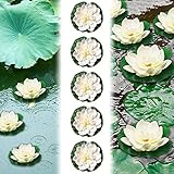 EMAGEREN 5 STK Künstliche Seerosen 10cm Schwimmende Blumen Seerose Schwimmend Lotusblüte Wasserlilie Weiß Seerose Kunstblume Lotusblume Künstliche Lotus Artificial für Gartenteich Dekoratio Garten