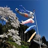 Bluelover 1 Set 5 Stück Japanische Flagge Carp Carp Banner Windsock Sailfish Koinobori Wind Streamer mehrfarbig Fisch