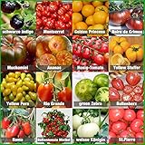 Prademir – Tomatensamen Set aus 16 seltenen & alten Sorten...