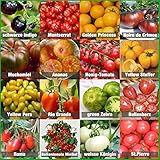 Prademir – Tomatensamen Set aus 16 seltenen & alten Sorten...