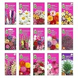 Nojus Blumen Samen Set - Blumensamen 15 Packungen - Garten Blumen Saatgut - Bunte Pflanzensamen - Wildflower Seed - Blumensamen Tütchen 15 Sorten - Ideales Blumensamen Geschenk