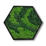 Bicolor Moos Wandbild Hexagon für Haus und Büro, Moosbild