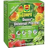 Compo Duaxo Universal Pilz-frei, Bekämpfung von Pilzkrankheiten an Obst, Gemüse, Zierpflanzen und Kräutern, Konzentrat inkl. Messbecher, 75 ml