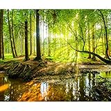 decomonkey Fototapete Wald 300x210 cm XXL Tapete Wandbild Bild Fototapeten Tapeten Wandtapete Wand Schlafzimmer Wohnzimmer Natur Landschaft Baum