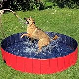 lionto Faltbarer Hundepool Schwimmbecken für Hunde Hundebad Kinderpool, (L) 160 cm Ø Höhe 30 cm blau/rot