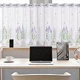 Daliena Scheibengardine mit Lochleiste Gardine Store Jacquard Küchengardine Spitze Kurzgardine Landhaus Fenstergardinen Transparent Gardine Spitze Weiß Vintage Kurz (BxH 60x50cm) 1 stück