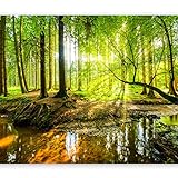 murando Fototapete Wald 400x280 cm Vlies Tapeten Wandtapete XXL Moderne Wanddeko Design Wand Dekoration Wohnzimmer Schlafzimmer Büro Flur Natur Baum grün Landschaft Sonne c-B-0241-a-a