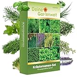 Kräutersamen Set - 10 Sorten Samen - Saatgut Sortiment - Anzuchtset für Küchenkräuter - Geschenkset - Dill, Basilikum, Petersilie, Kressse und mehr