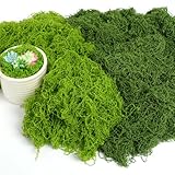 OFFCUP 100g Kunstmoos zum Dekorieren Künstliches Moos Deko Moos zum Basteln Kunstmoos zum Basteln Kunst Moos Fake Dekomoos Deko Ostern für Wand Krippe Aquarium Modellbau (Dunkelgrün + Hellgrün)