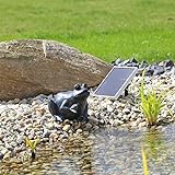 CLGarden Solar Wasserspeier Frosch NSP9 Springbrunnen für Teich mit Pumpe