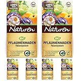 2 x Naturen Pflaumenmaden-Falle gegen Pflaumenwickler + 4 Nachfüll-Sets