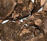 Bio Kakaomasse roh Kakaobutter Rohmasse Rohkost-Qualität, ohne Zusatzstoffe Zuckerfrei 200g