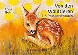 Von den Waldtieren – Ein Postkartenbuch