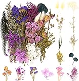 iDattel Natürliche Getrocknete Blumen,trockenblumen,Blumen Natürliche Gemischte,DIY Natürliche Getrocknet Blumen Set für Kunst Basteln DIY Harz Scrapbooking Handwerk Karten Machen（violett）