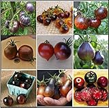 Tomatensamen Dunkle/Schwarze Tomatensorten, TOP Qualität aus Deutschland, ohne Gentechnik, Saatgut, essbare und gesunde Tomaten, Rarität, extravagant