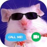 Täuschungsanrufe Toothy Fluffies