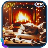 Gemütliches Kaminfeuer: Entspannender Sound-Bildschirmschoner